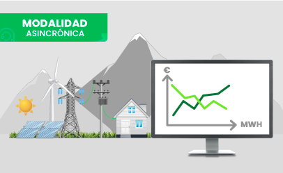 [CE.15.22] Gestión de la Demanda y Valuación de Tarifas Eléctricas para Clientes de Baja, Media y Alta Tensión